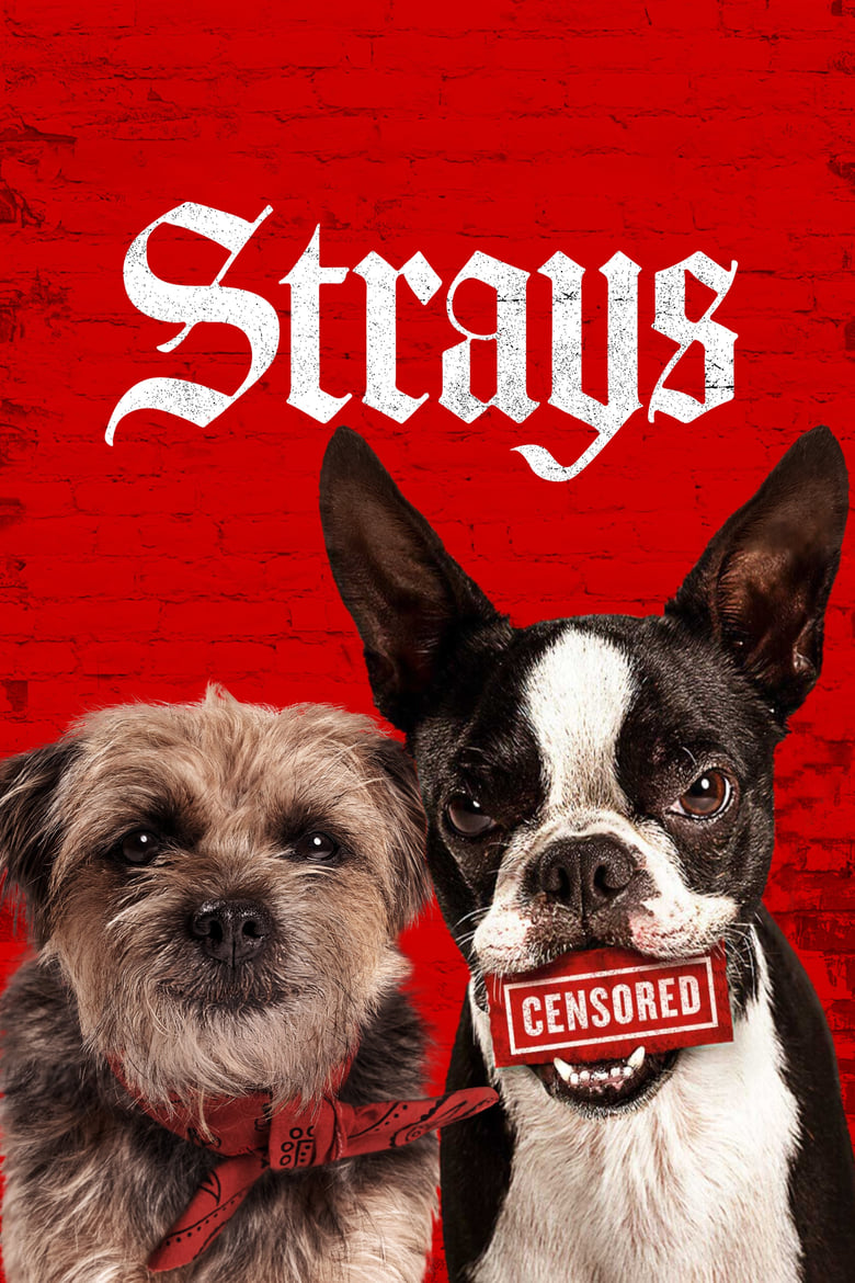 Strays (2023) สเตรย์ส