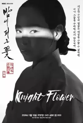 Knight Flower (2024) ดอกไม้ที่บานยามค่ำคืน